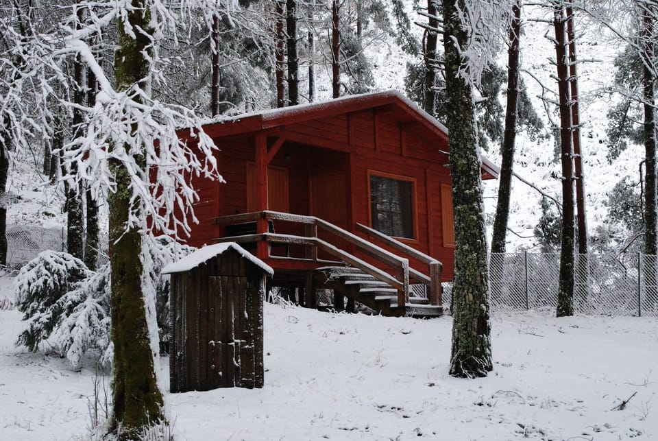 Property building, Winter
