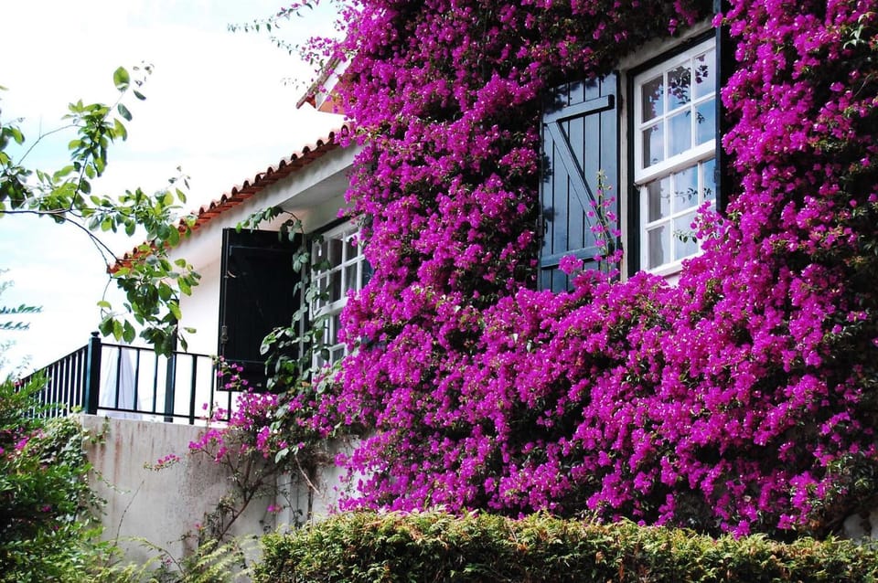 Property building, Spring