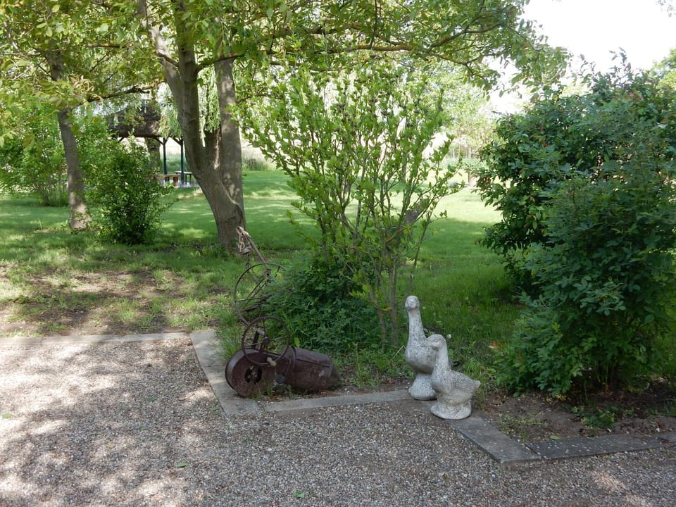 Garden, Garden view
