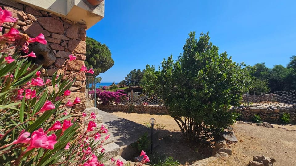 Mirto House in Sardinia