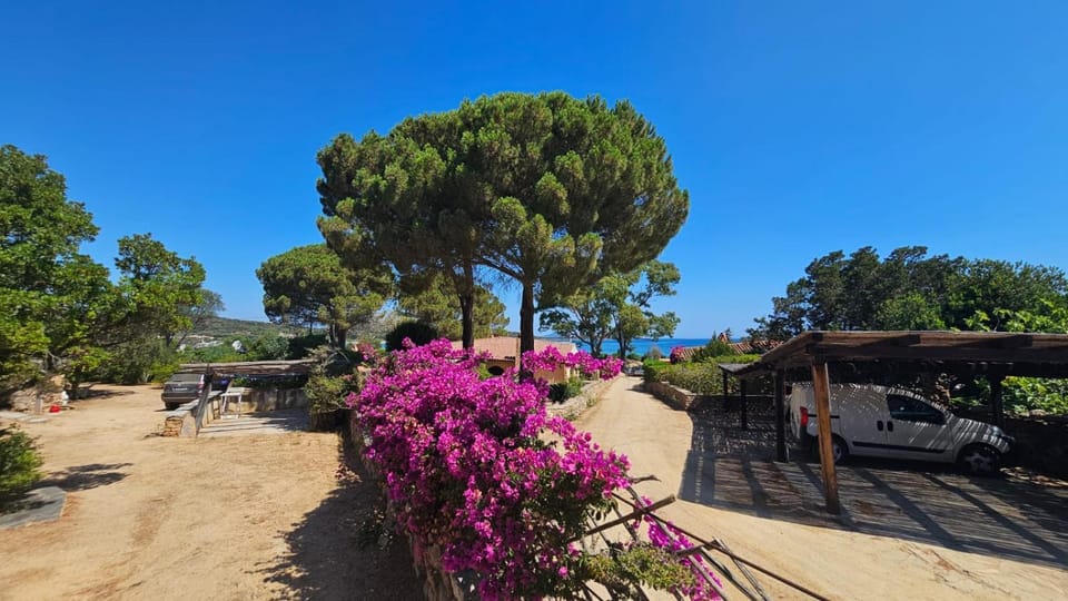 Mirto House in Sardinia