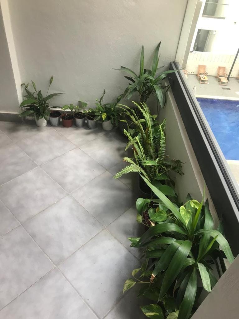 Appartement Miramar Apartment in Mohammedia
