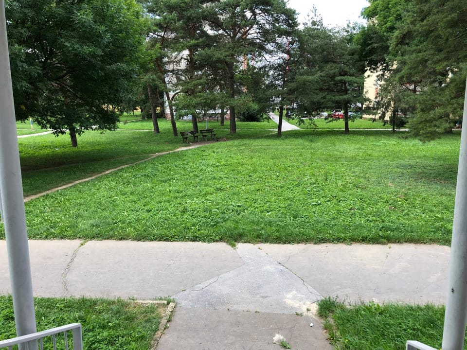 Natural landscape, Garden, Garden view