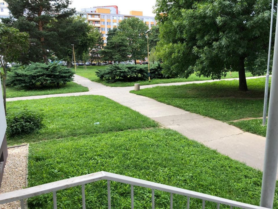 Natural landscape, Garden, Garden view