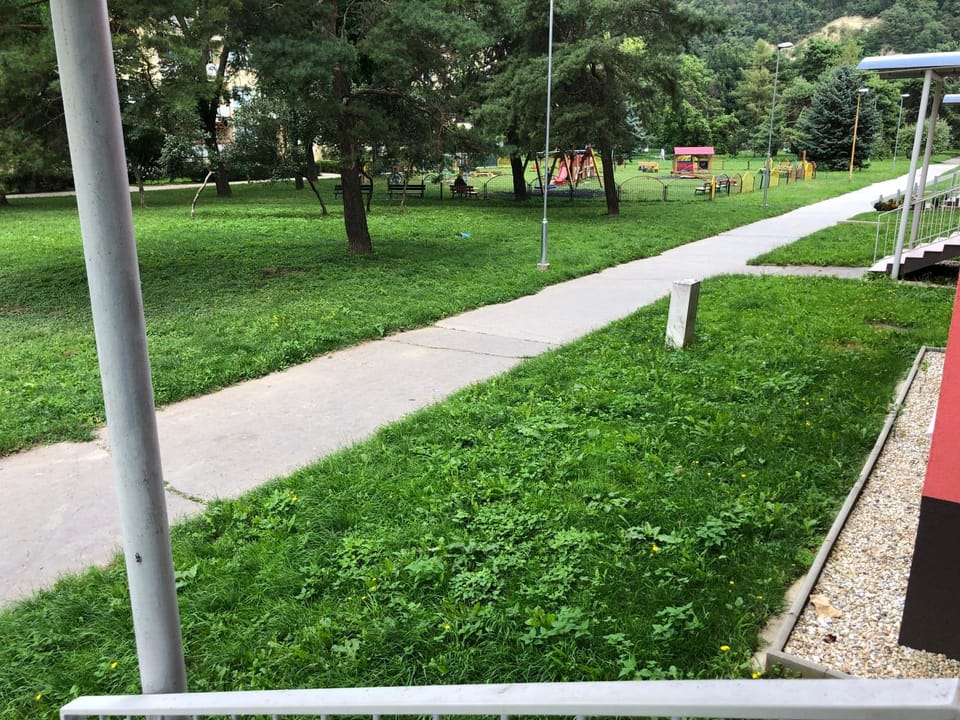 Natural landscape, Garden, Garden view
