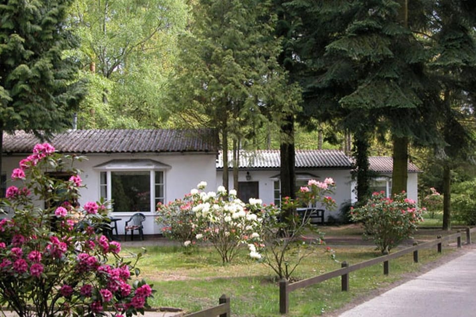 Property building, Garden view