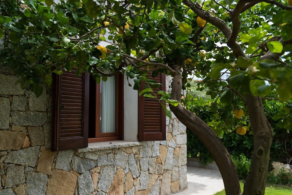 Property building, Garden view