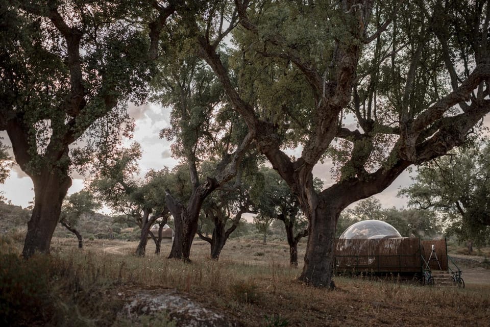 Off site, Natural landscape
