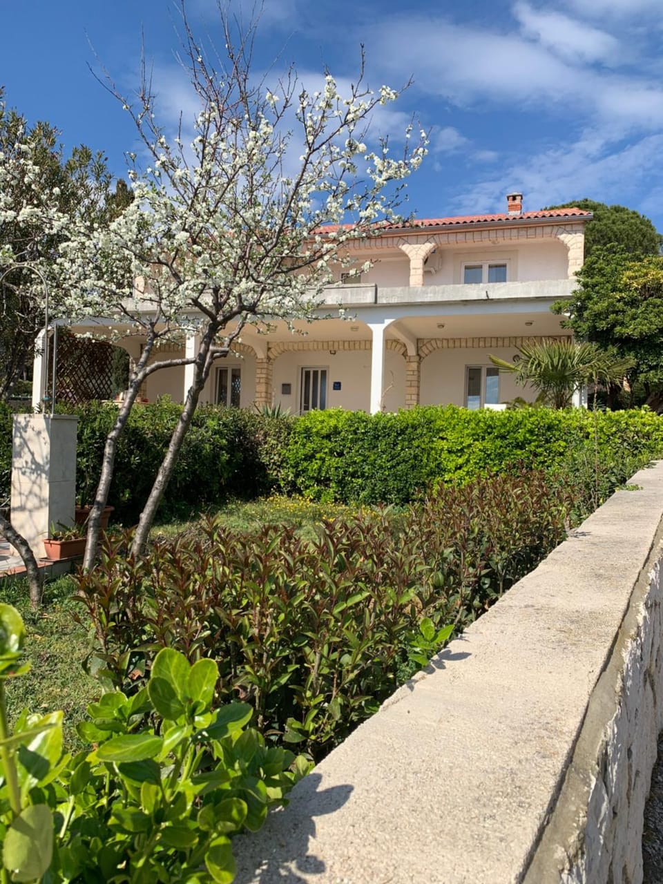 Property building, Garden, View (from property/room), Garden view