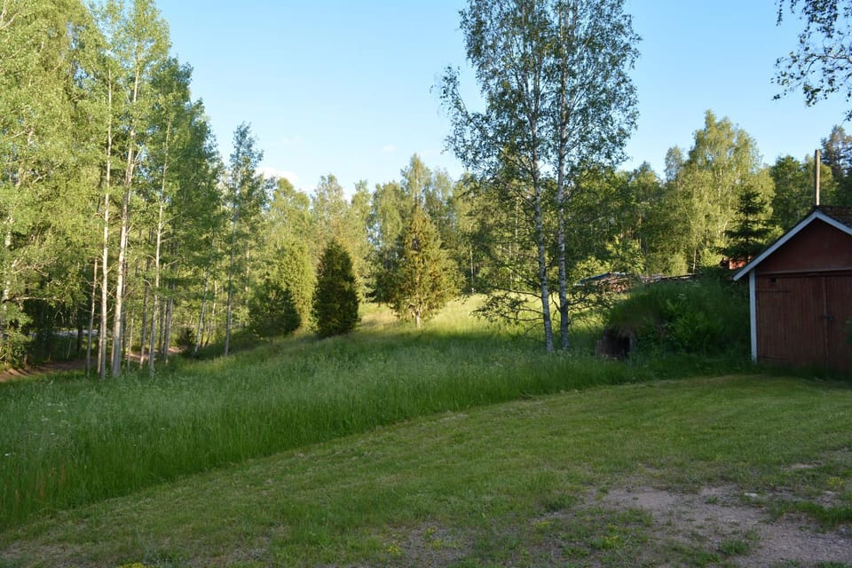 Neighbourhood, Natural landscape, Summer, Garden, View (from property/room), On site, Sunset