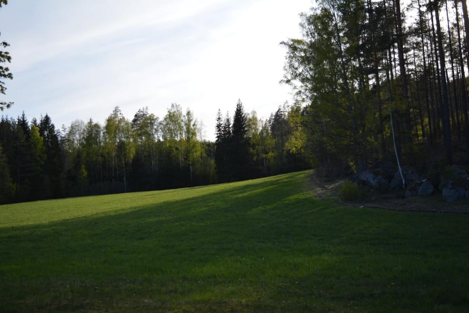 Neighbourhood, Natural landscape, Summer, Garden, On site, Sunset