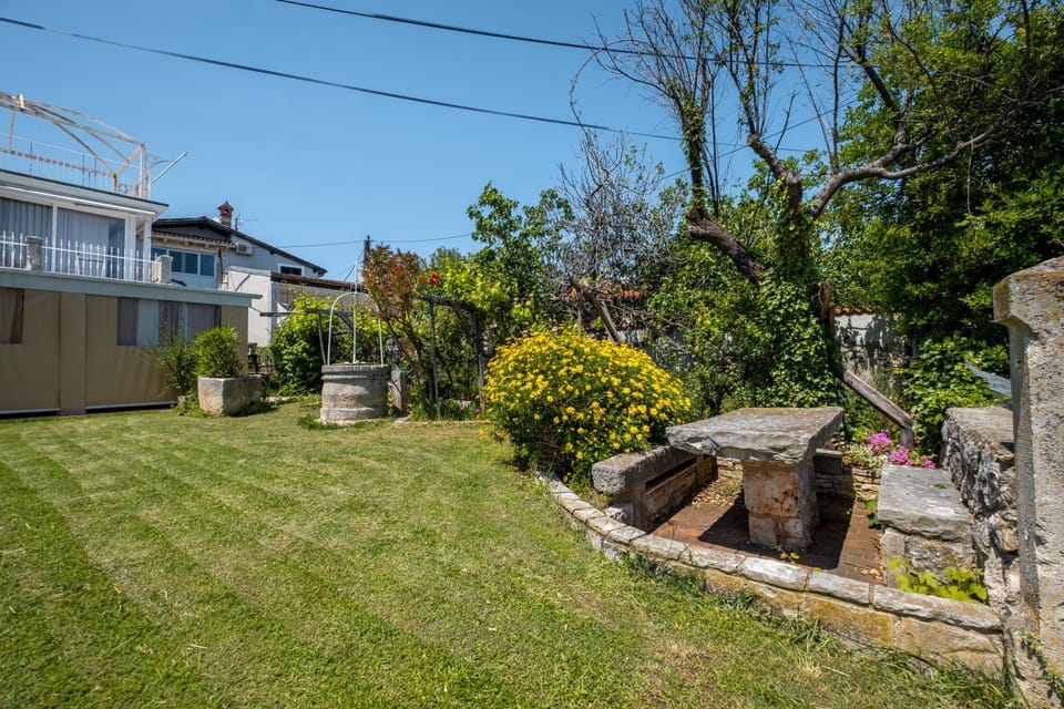 Property building, Spring, Day, Garden, Garden view