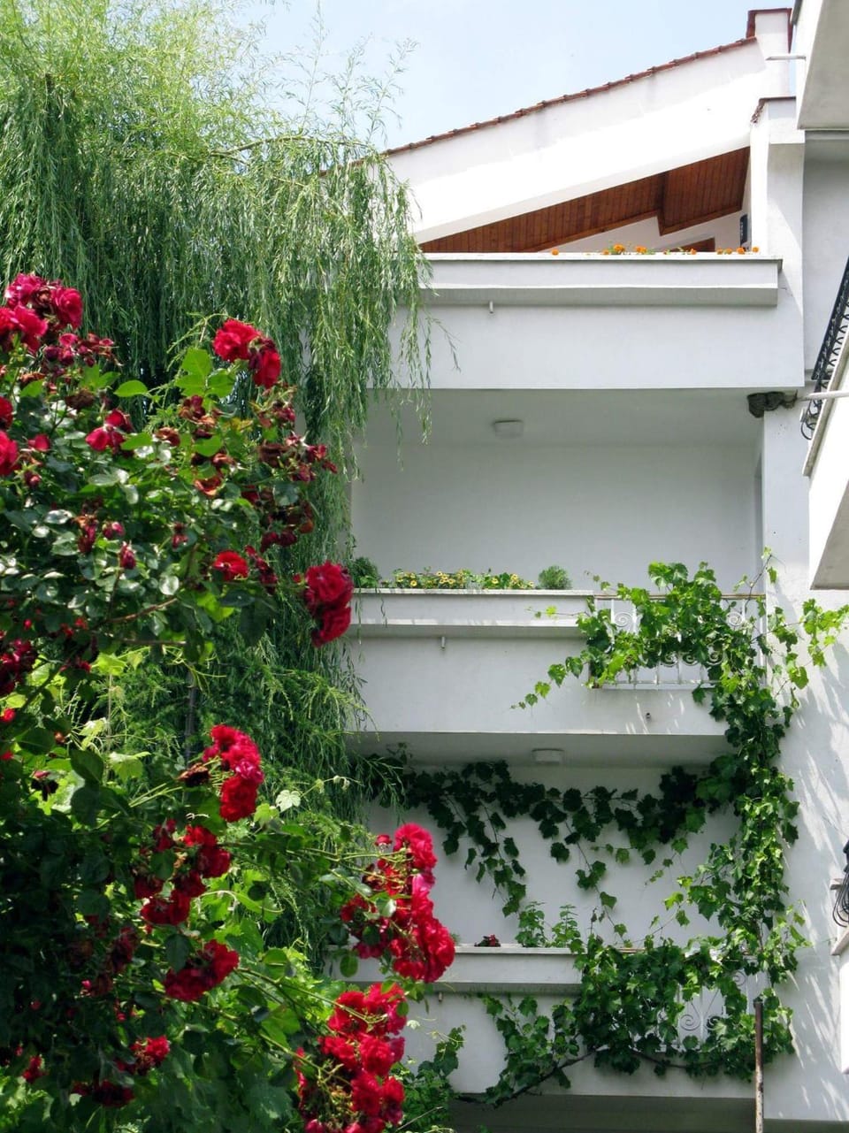 Property building, Patio, Facade/entrance, Balcony/Terrace