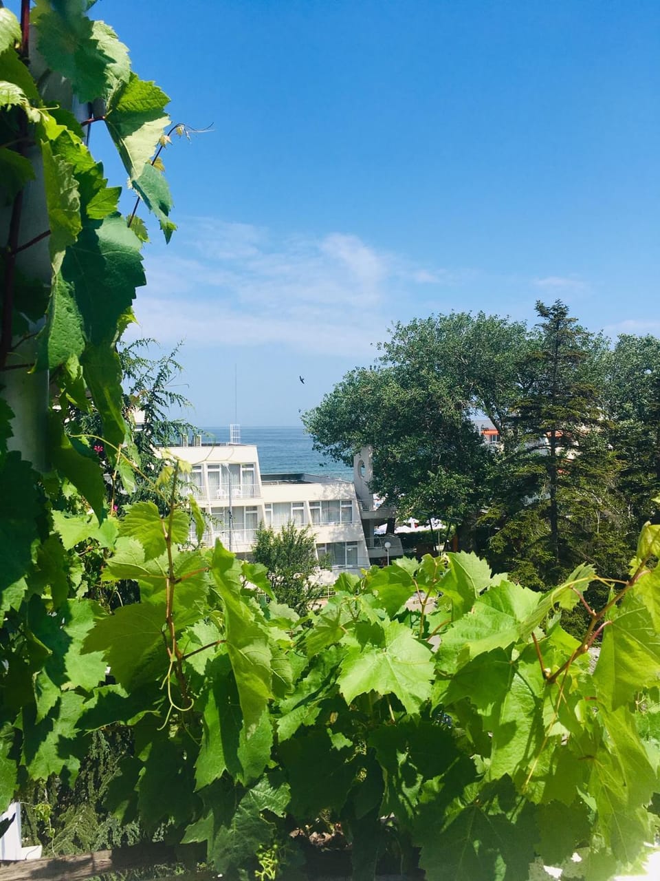 Sea view