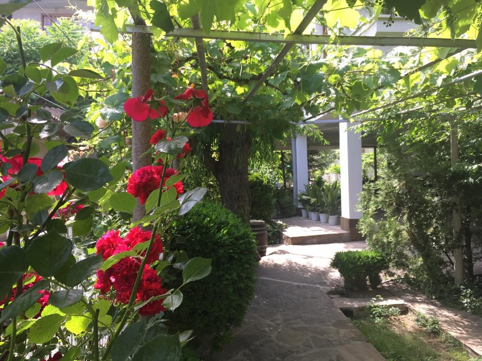 Patio, Garden