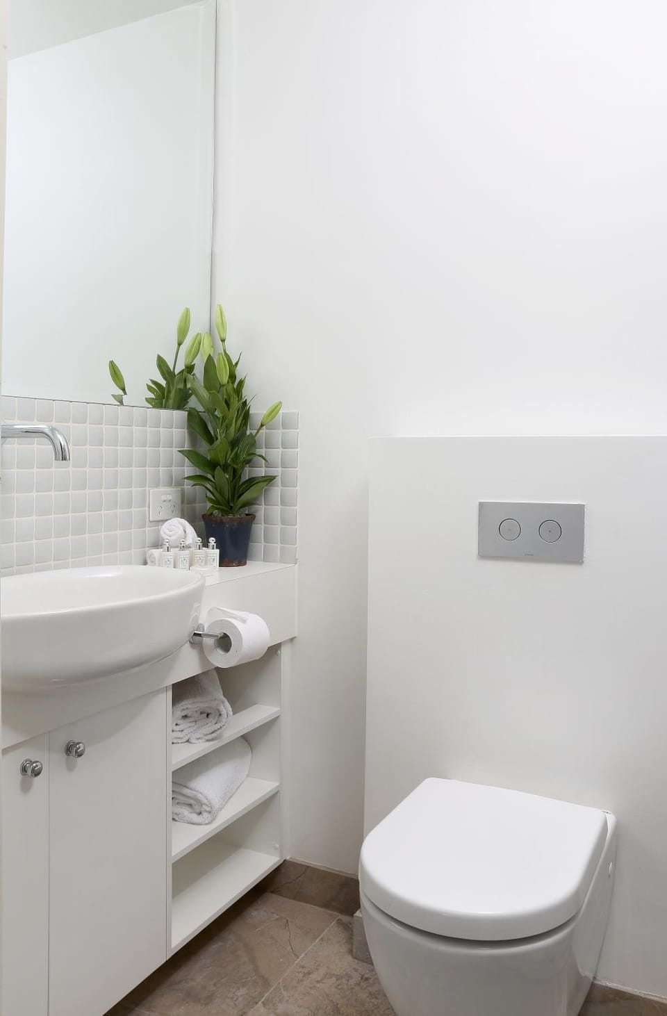 Shower, Toilet