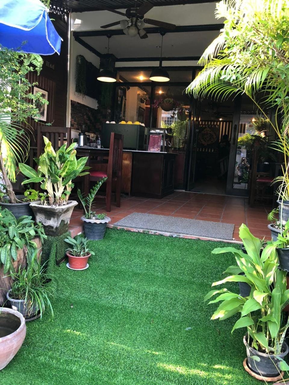 Day, Garden, Garden view