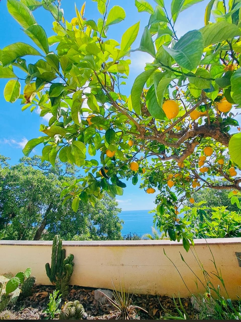 CASA AL MARE RIO b&n House in Apulia