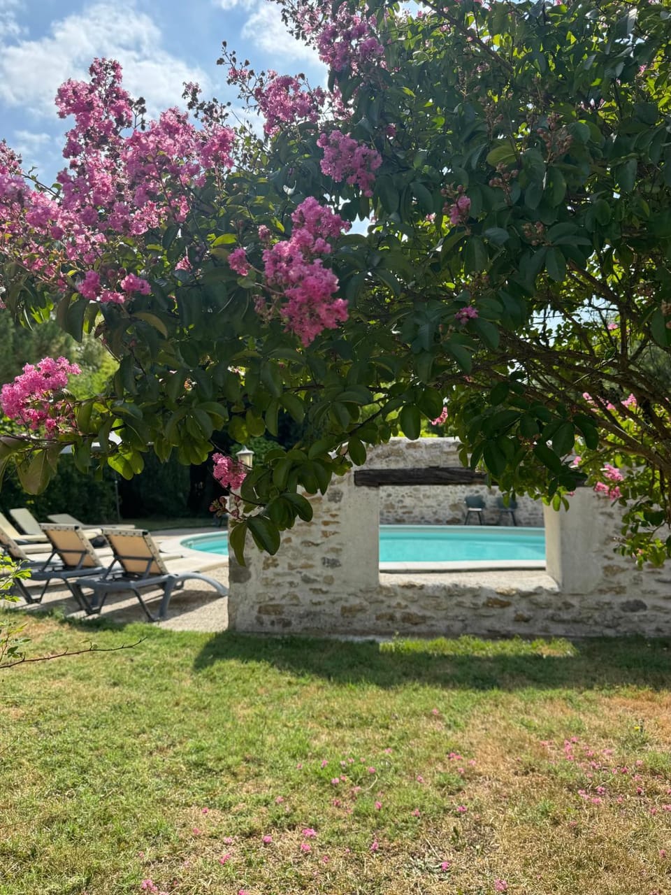 Natural landscape, Garden, Swimming pool