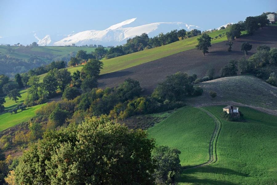 View (from property/room), Mountain view