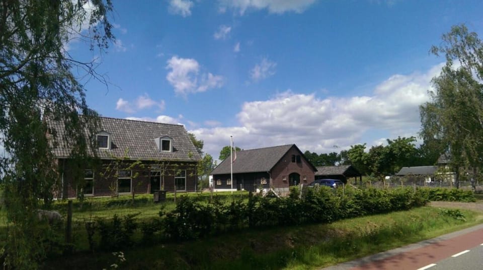 Property building, Neighbourhood, Garden