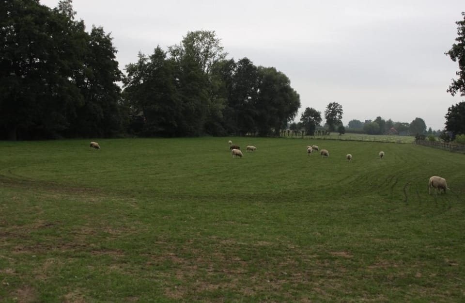 Natural landscape, Garden
