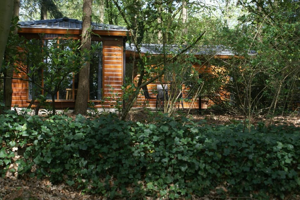 t'Bakkersboschje nummer 8 Chalet in Putten