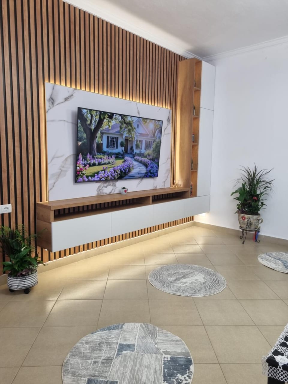 TV and multimedia