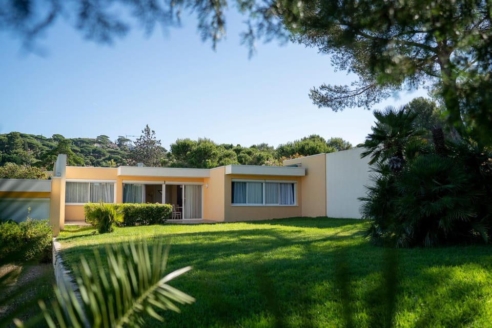 Day, Natural landscape, Garden, Garden view