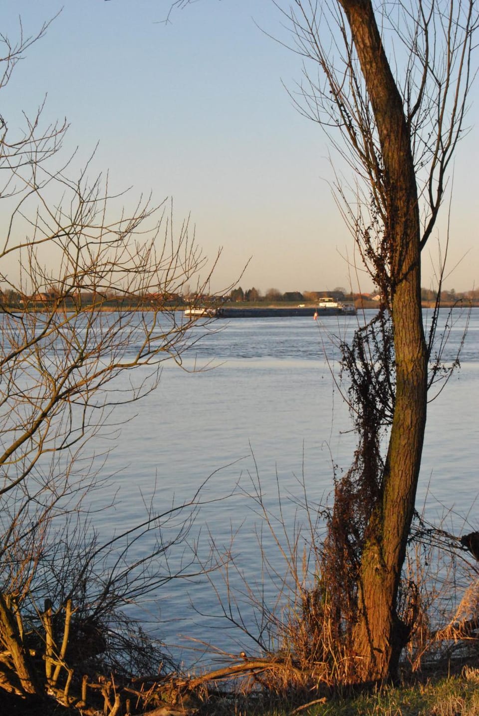 View (from property/room), Area and facilities
