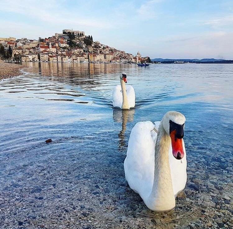Sibenik Antique Studio Apartment - old town Apartment in Šibenik