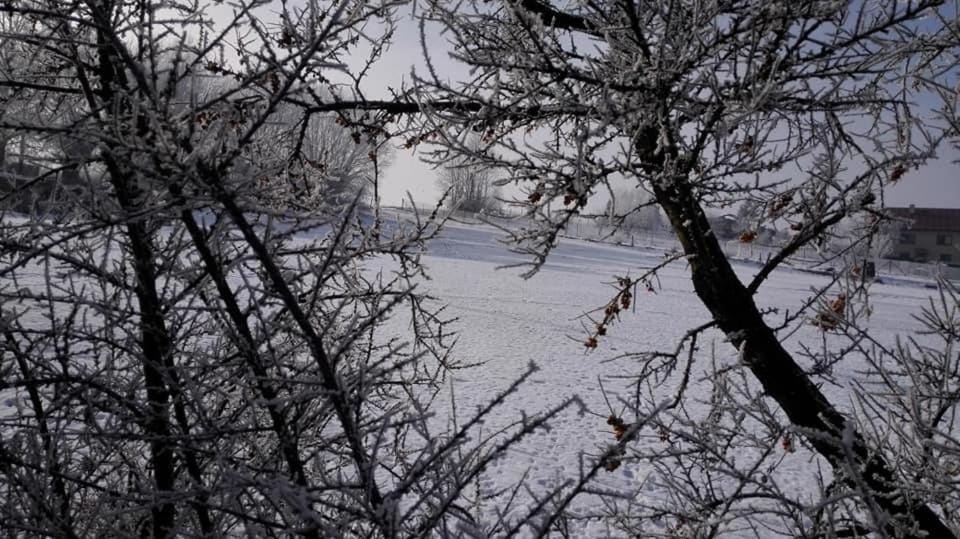 Privat Eva House in Slovakia