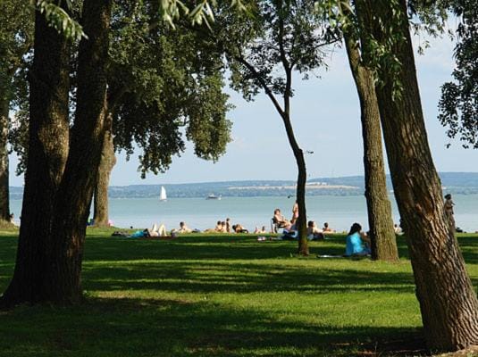 Beach, Beach