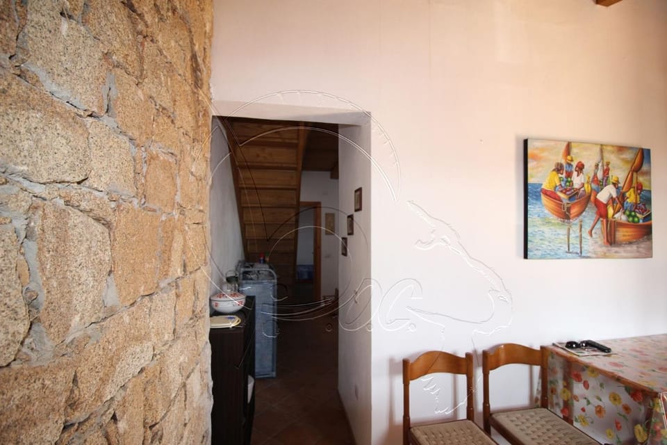 Spring, Day, TV and multimedia, Living room, Dining area, On site