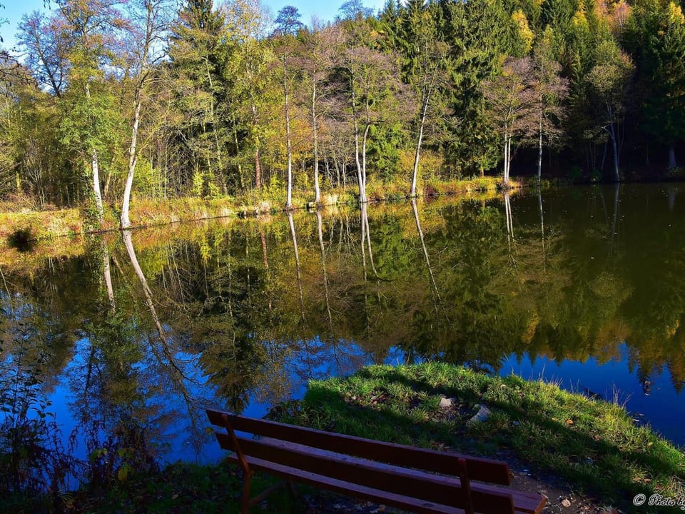 Natural landscape