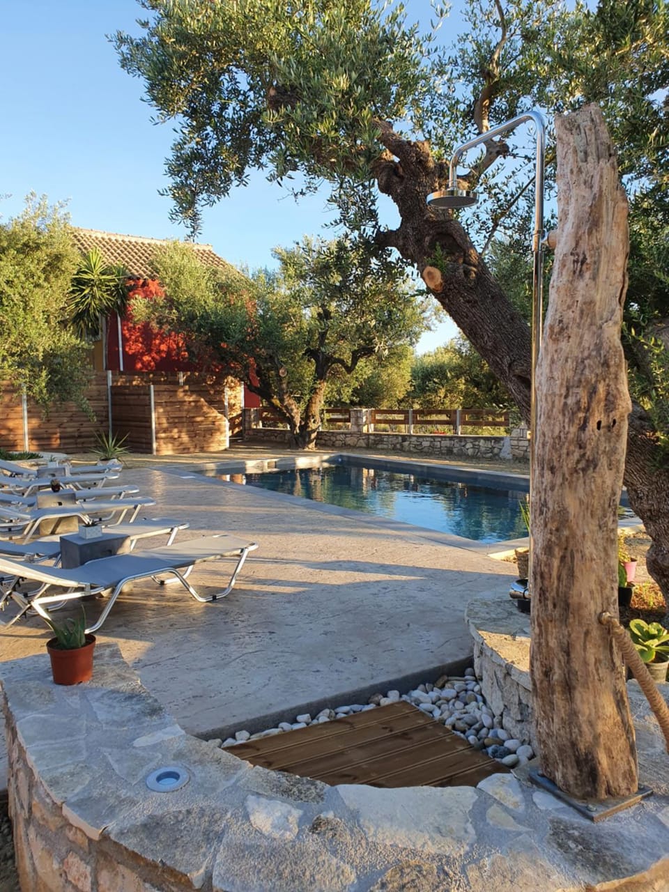 Garden, Swimming pool