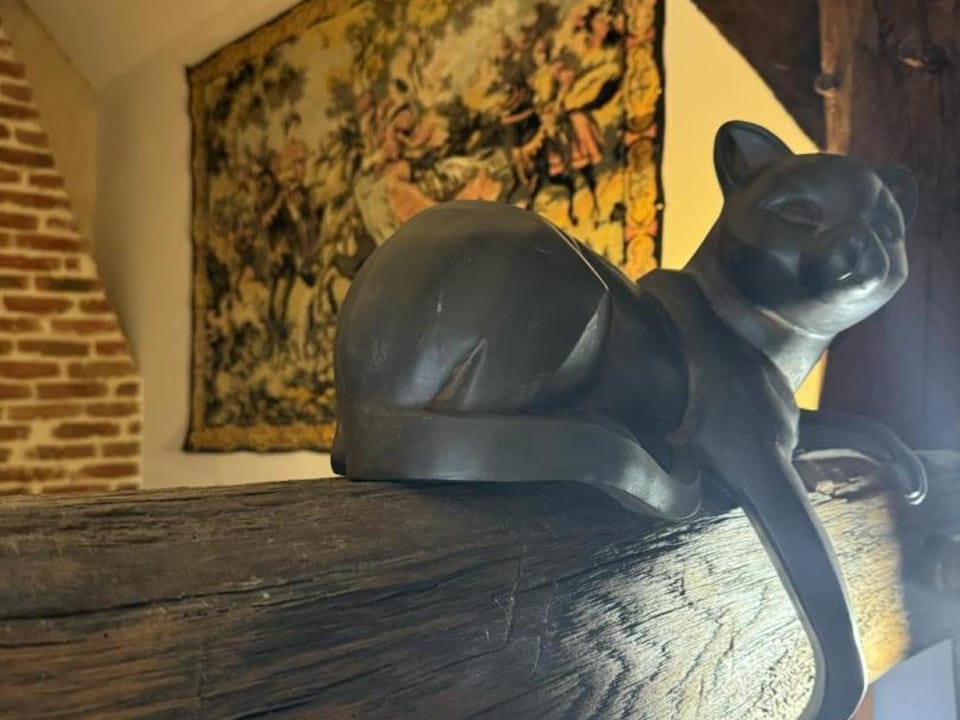 Maison de ferme restaurée avec animaux admis, proche du Cher - FR-1-489-270 House in Centre-Val de Loire