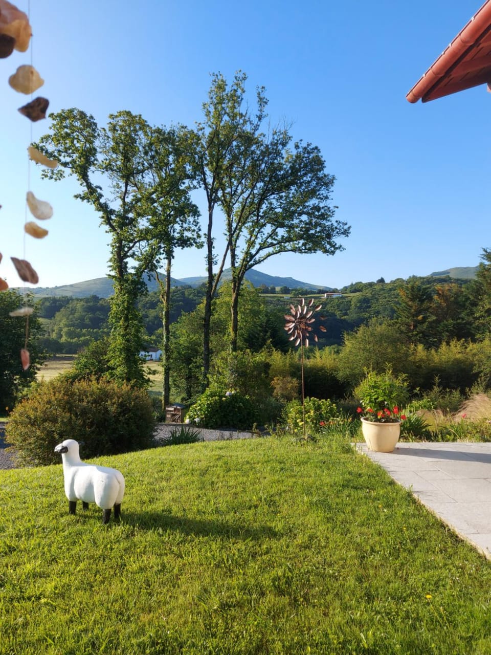 Garden view