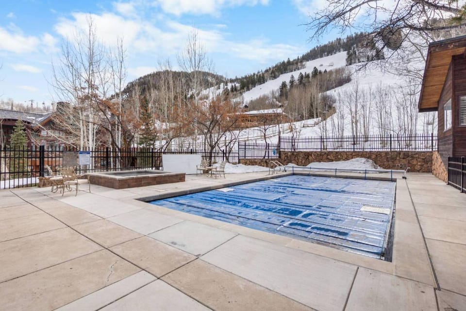 Mountain Queen 05 House in Aspen