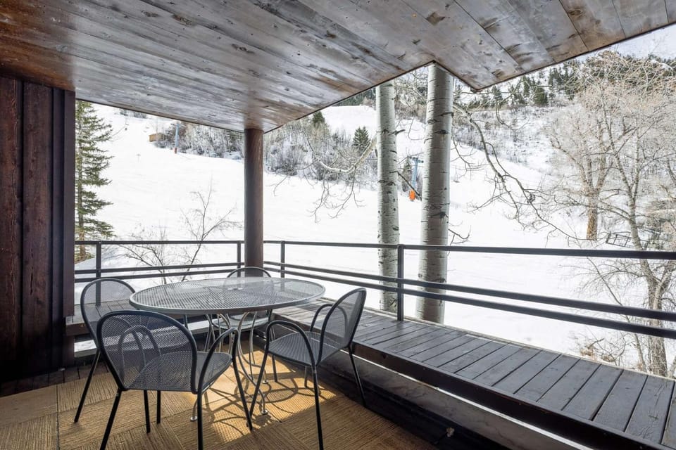 Mountain Queen 05 House in Aspen