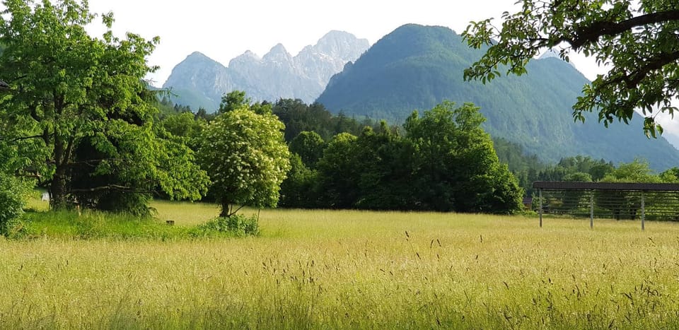 The OldMillhouse House in Carinthia, Austria