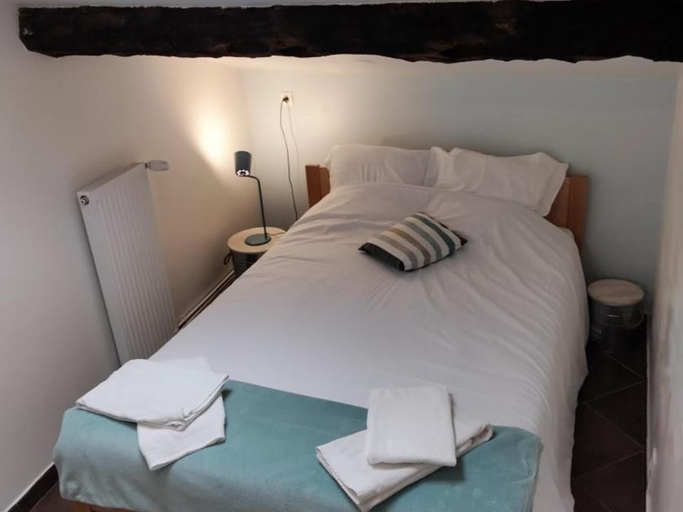 Gîte 3 chambres avec hammam, sauna et jacuzzi à Cellieu - FR-1-496-8 House in Auvergne-Rhône-Alpes