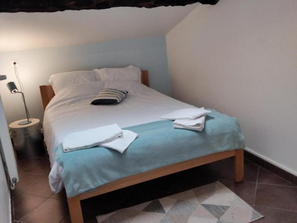 Gîte 3 chambres avec hammam, sauna et jacuzzi à Cellieu - FR-1-496-8 House in Auvergne-Rhône-Alpes