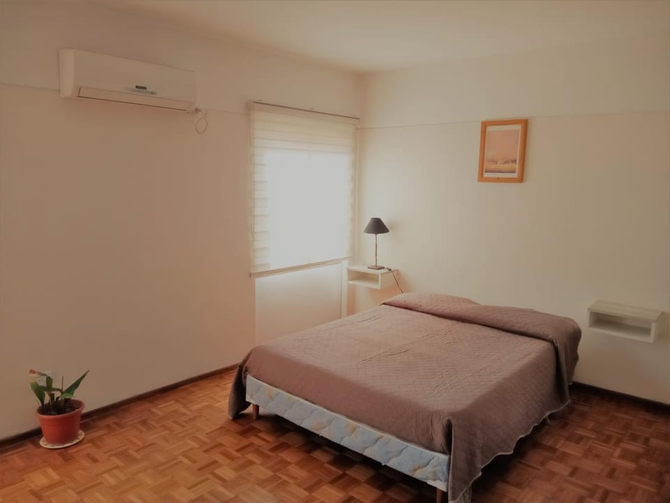 Mendoza Capital Microcentro Apartment in Mendoza