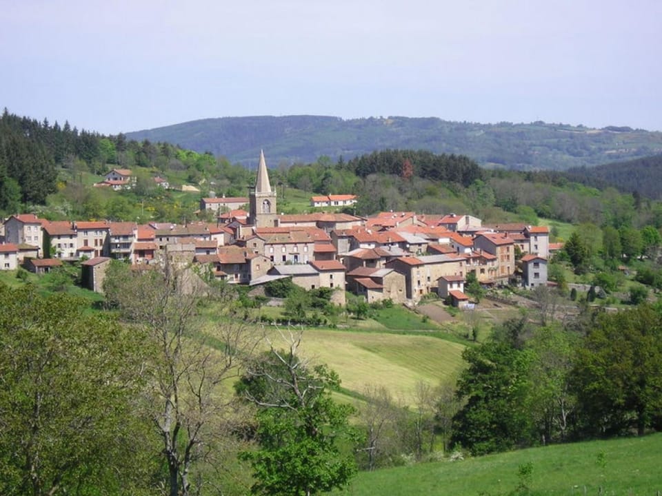 Gîte charmant à Saint-Didier-sur-Rochefort, animaux acceptés, idéal pour 4 personnes - FR-1-496-12 House in Auvergne-Rhône-Alpes