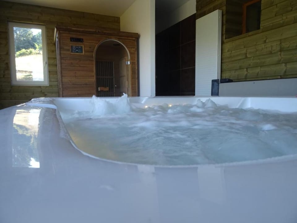 Gîte chaleureux avec spa et sauna, animaux admis - FR-1-496-23 Apartment in Auvergne-Rhône-Alpes
