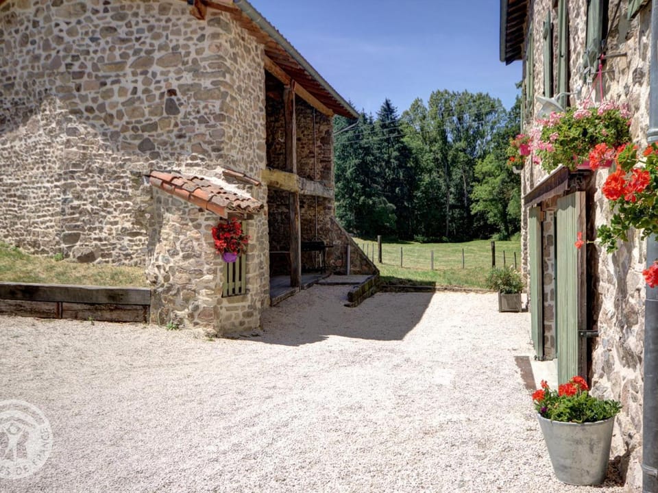 Gîte spacieux avec piscine privée, animaux acceptés - FR-1-496-25 House in Auvergne-Rhône-Alpes