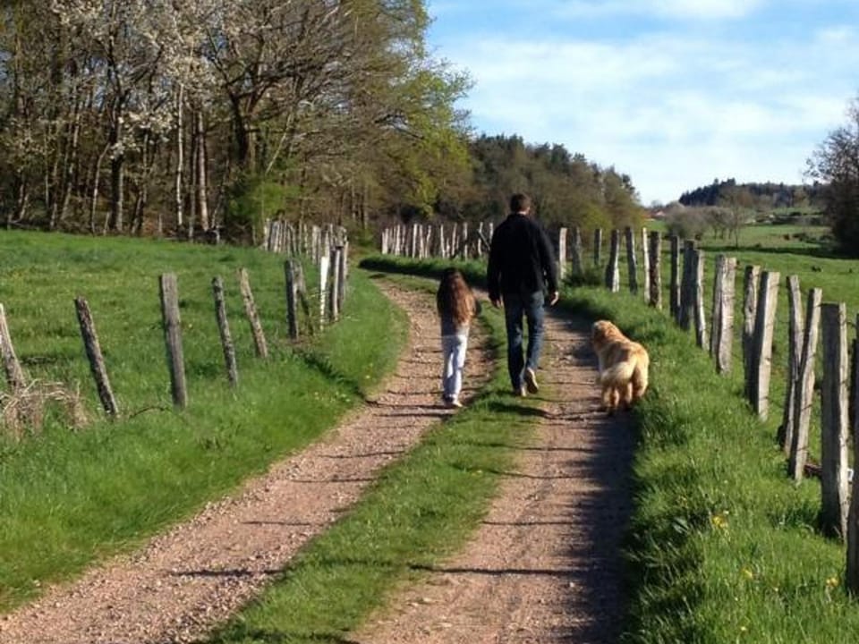 Gîte harmonieux 8 pers avec cheminée et animaux admis - FR-1-496-32 House in Auvergne-Rhône-Alpes