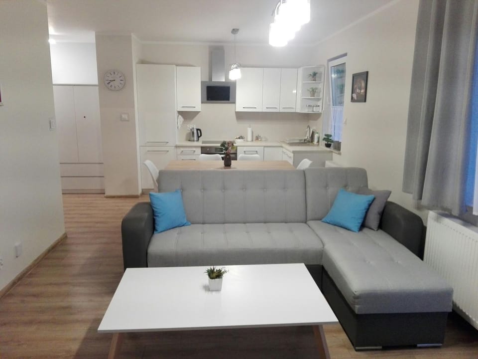 Apartamet Marzenie 7 - Opole Apartment in Czechia