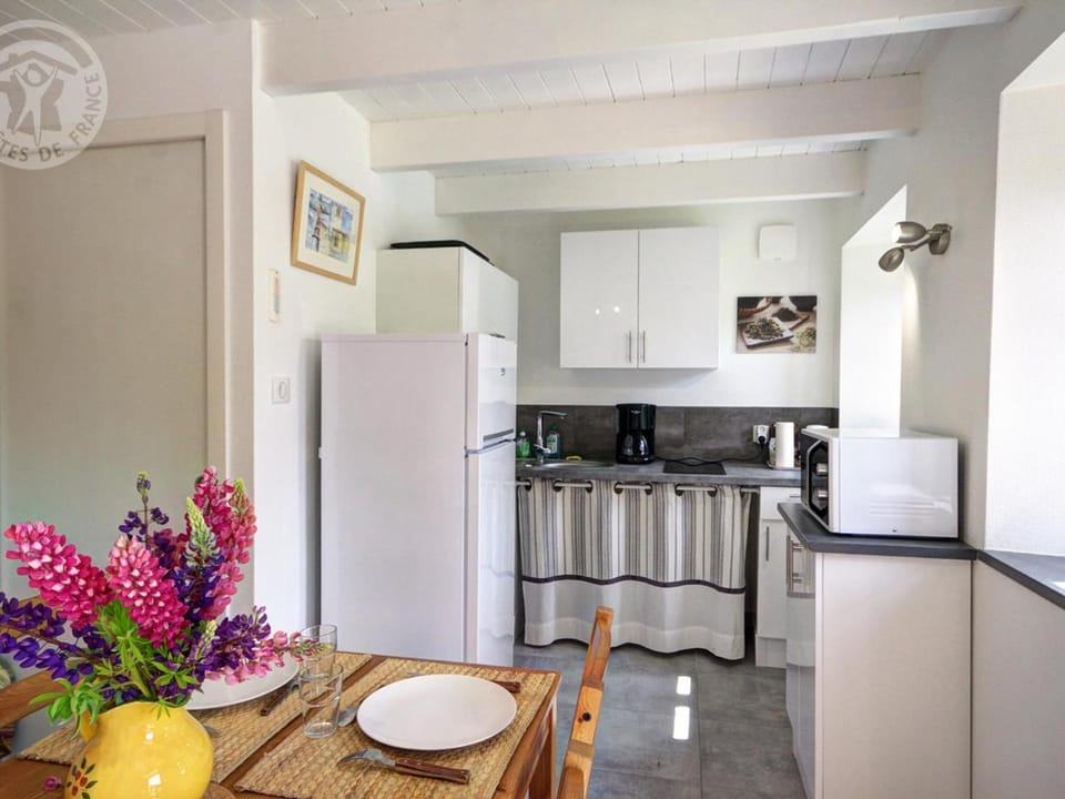 Charmant gîte en pierres avec terrasse et barbecue, idéal pour 4 pers., animaux admis - FR-1-496-59 Apartment in Auvergne-Rhône-Alpes